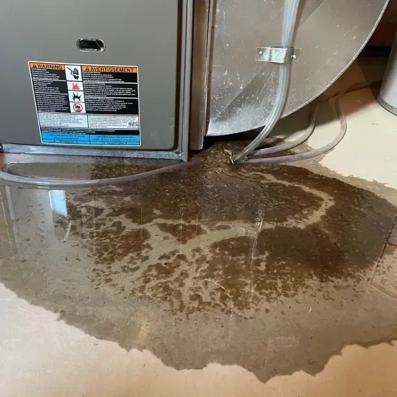 Appliance Leak Cleanup in Lomira, WI